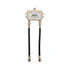 DISH Pro Plus DPP Separator for Dual-Tuner Receivers - The Satellite Shop